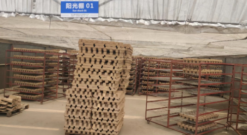 甘蔗渣一次性餐具生产设备厂家