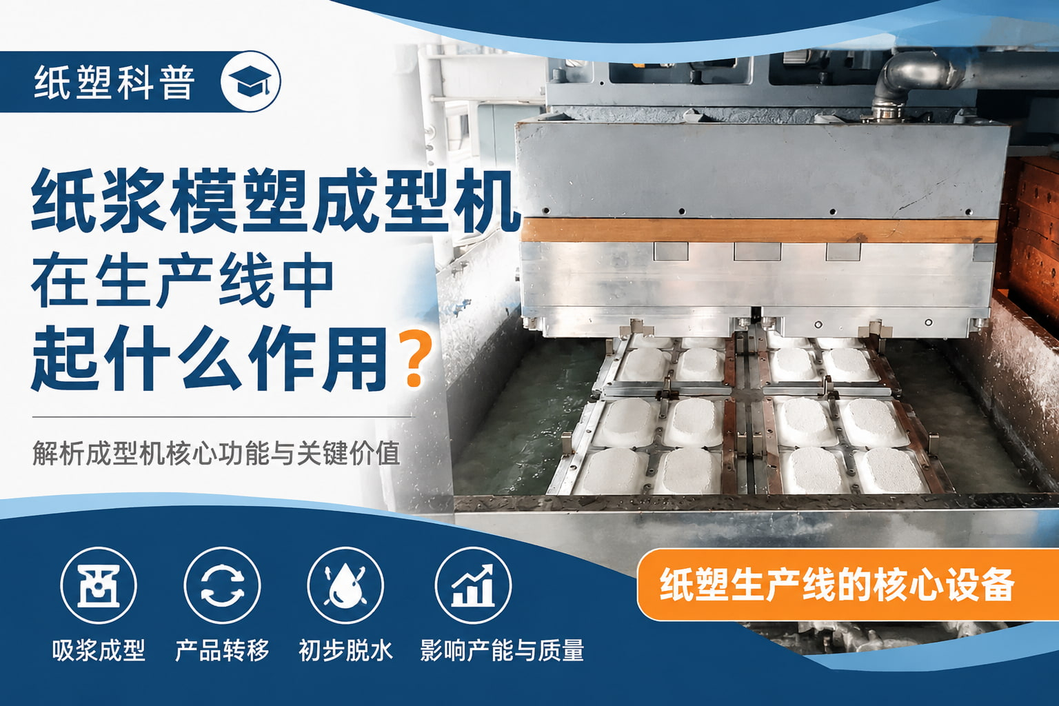 【纸塑科普】纸浆模塑成型机在生产线中起什么作用? 【纸塑科普】纸浆模塑成型机在生产线中起什么作用?